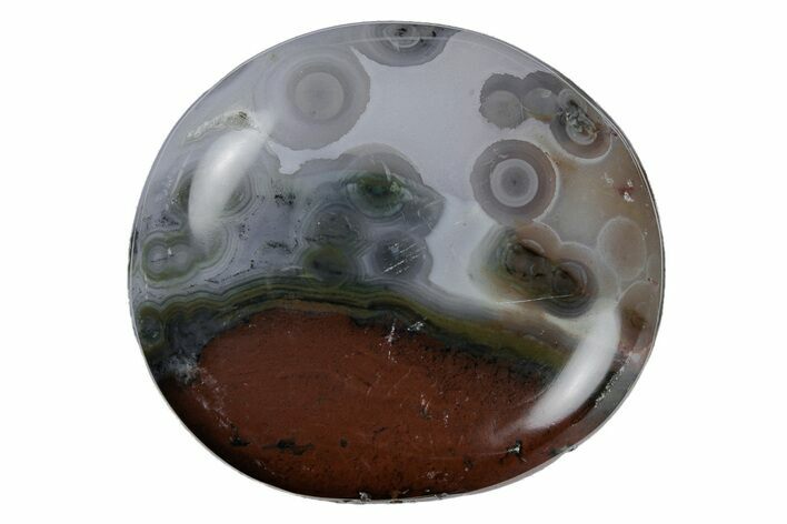 Polished Ocean Jasper Stone - New Deposit #218141